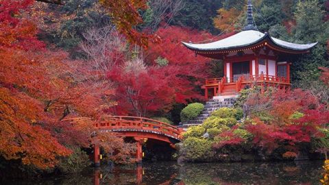 情侶必去！嚴選17個最浪漫之旅 第2位去完就會天長地久